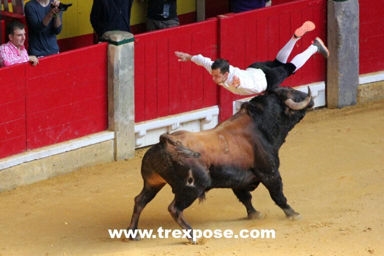 Campeanato Nacional de Recortadores (National Bull Jumping Championship) during the Fiestas del Pilar, Zaragoza, Spain