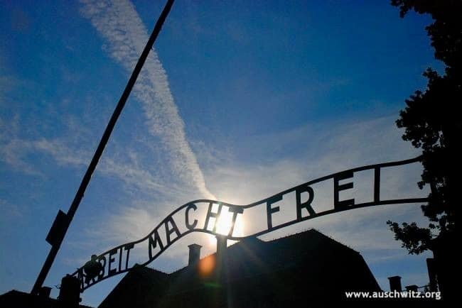 Auschwitz Through the Eyes of a Survivor